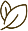 two leaves icon