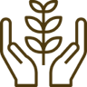 health icon
