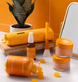 Turmeric Total Wellness Kit 0